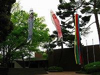 ５月館画像２