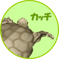 カッチ