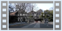 動画サムネイル
