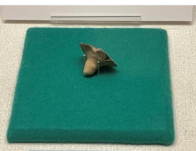 キノコ型土製品の写真